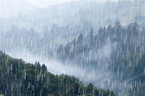 下大雨图片|大雨图片